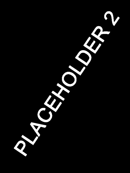 File:RaceExample2.png